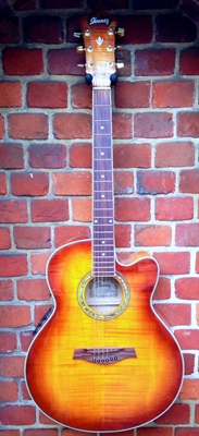 Ibanez ALE20E (headstock repaired) RRP £369